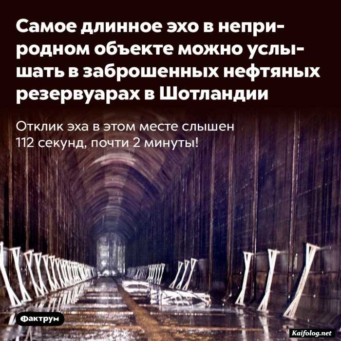 интересный факт