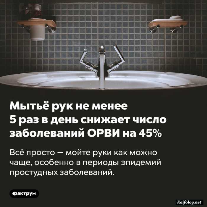 интересный факт