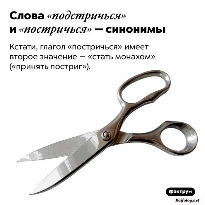 интересный факт