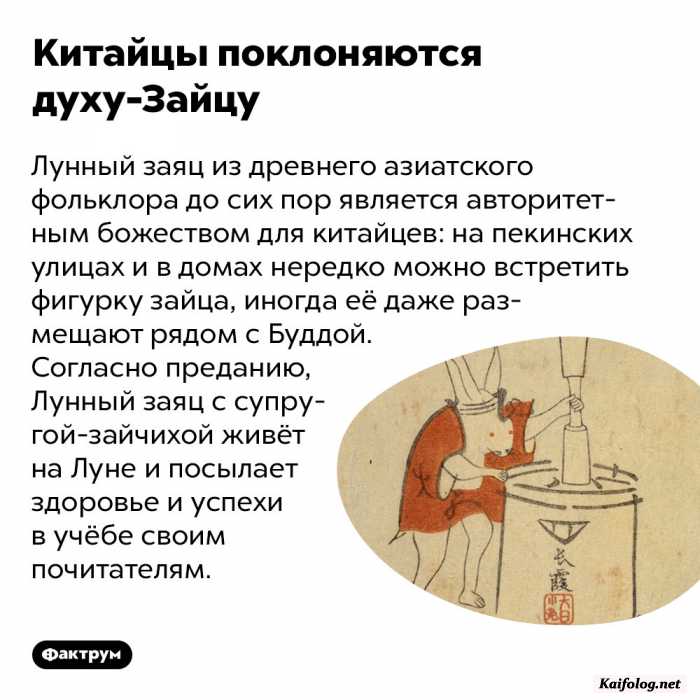 интересный факт