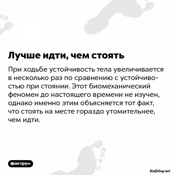 интересный факт