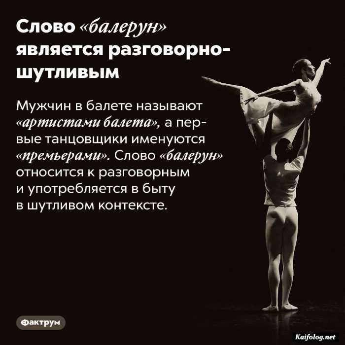 интересный факт
