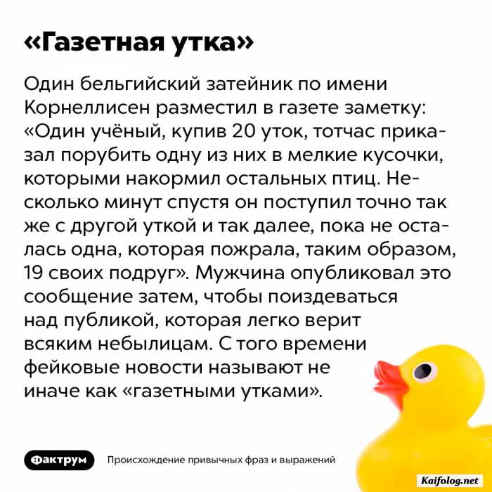 интересный факт