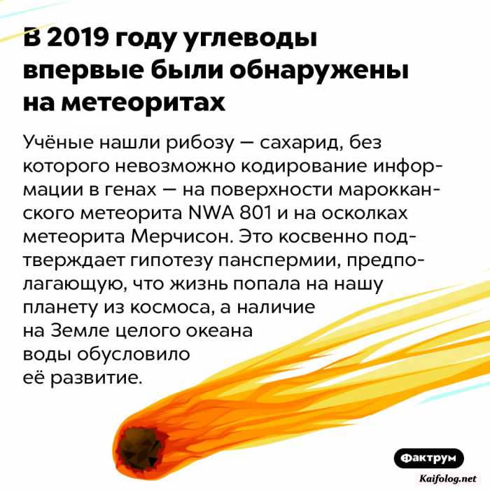 интересный факт