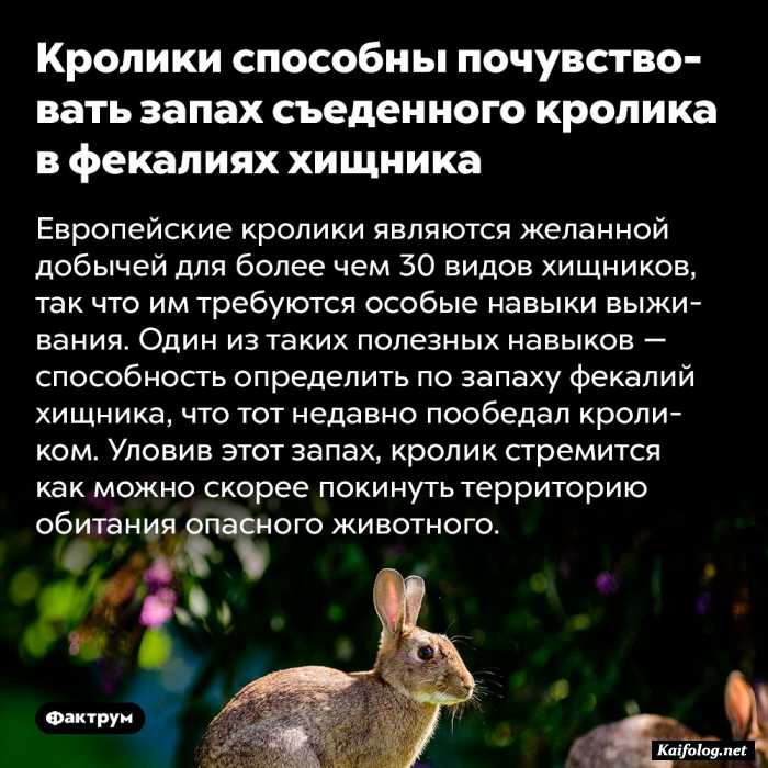 интересный факт