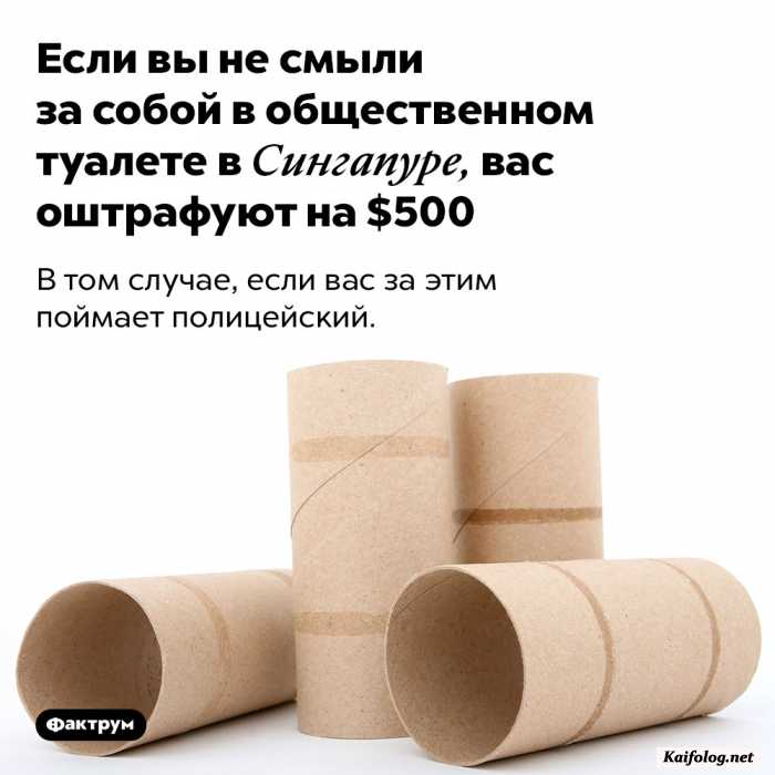 удивительный факт