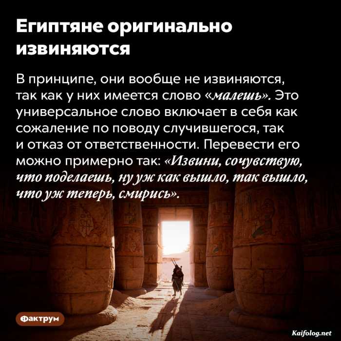 удивительный факт