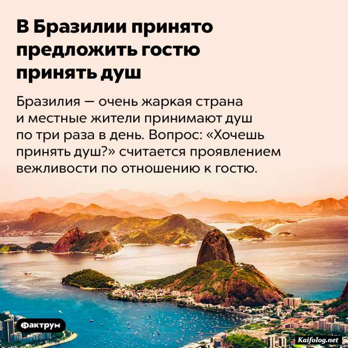 удивительный факт