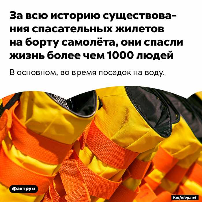 факт картинка