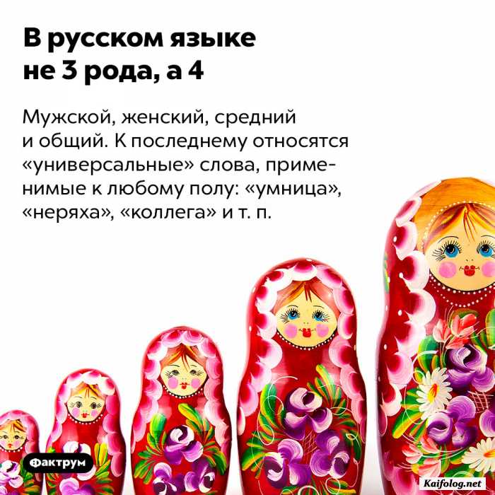 факт картинка