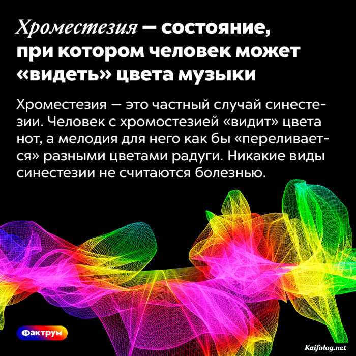 факт картинка