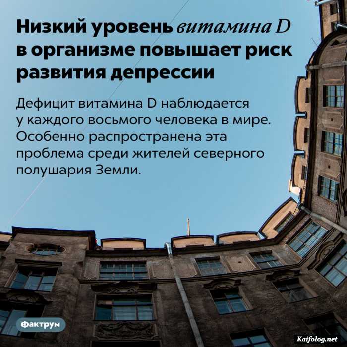 факт картинка