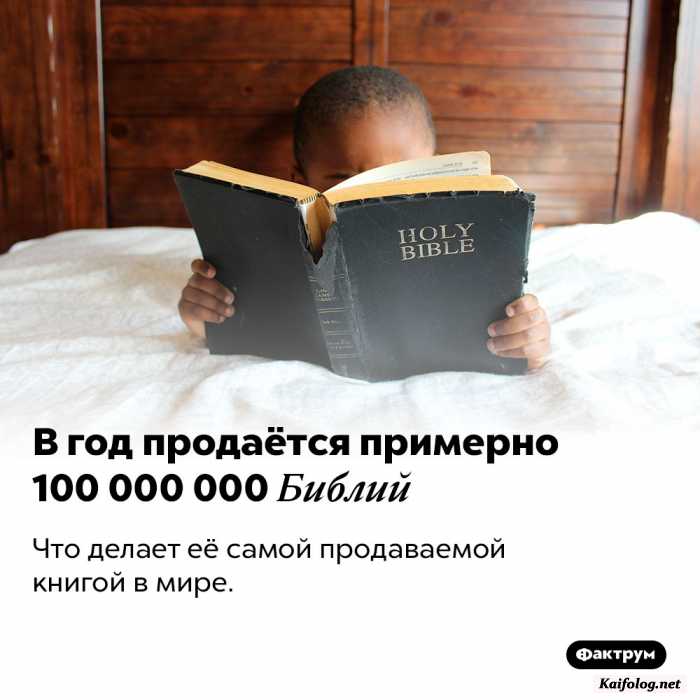 факт картинка