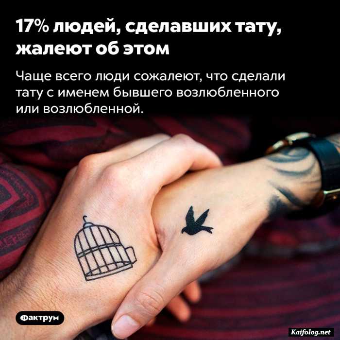 факт картинка