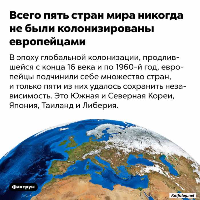 факт картинка