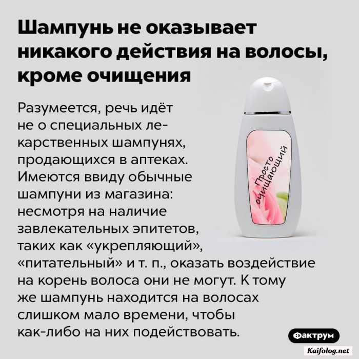 картинка факт