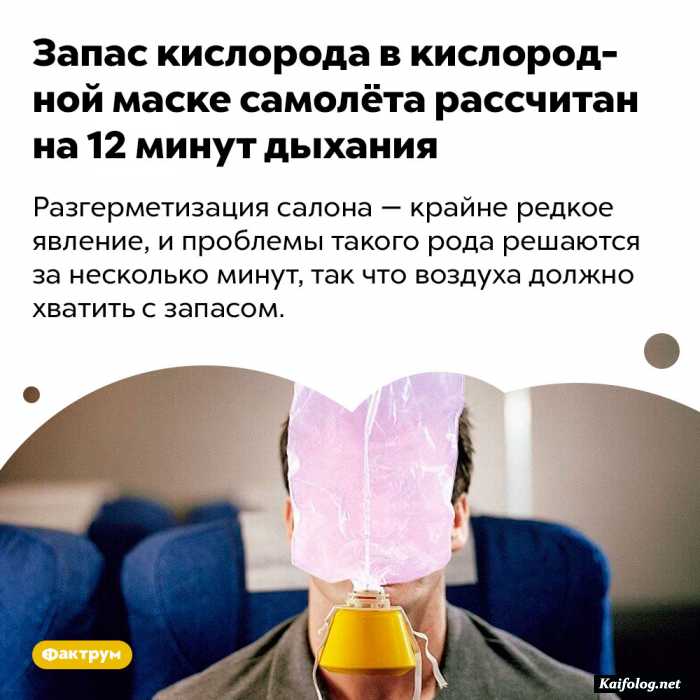 картинка факт