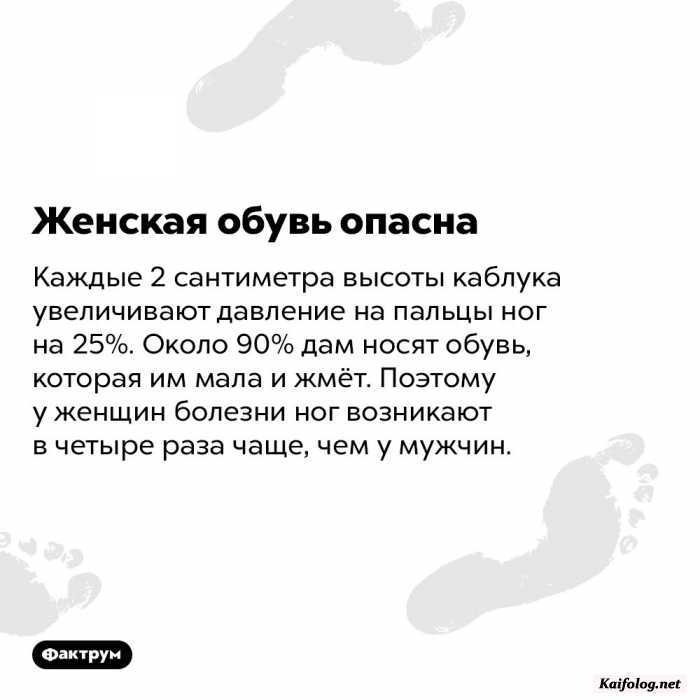 факт интересный