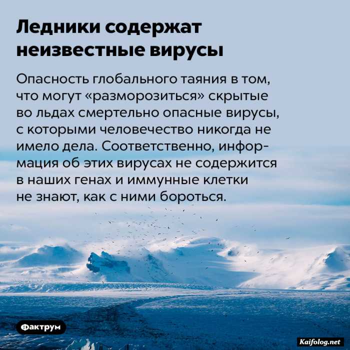 факт интересный