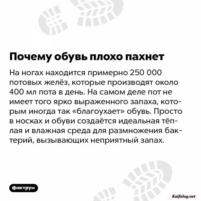 факт интересный