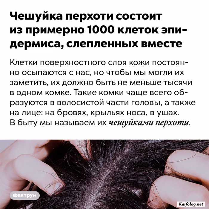 факт интересный