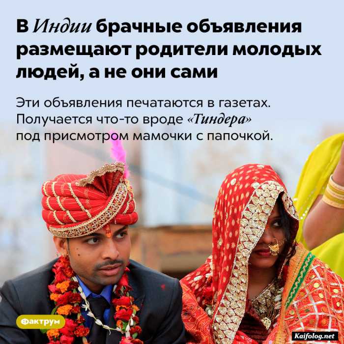 факт интересный