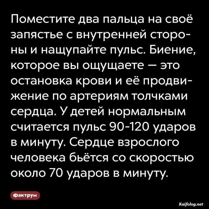 факт интересный