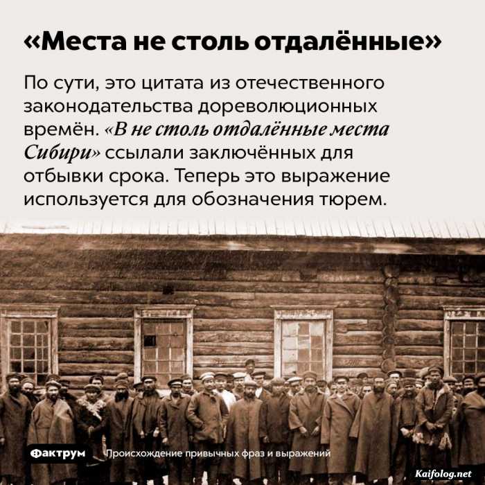 забавный факт