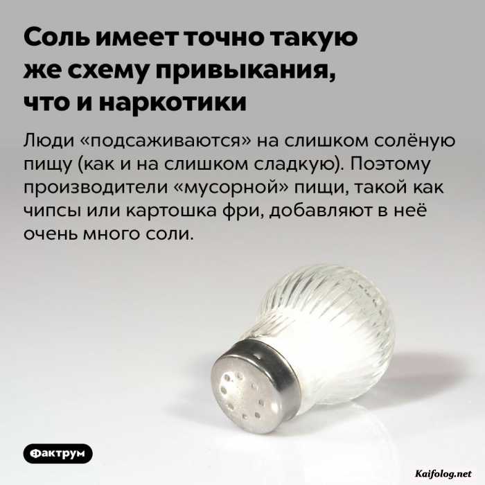 забавный факт