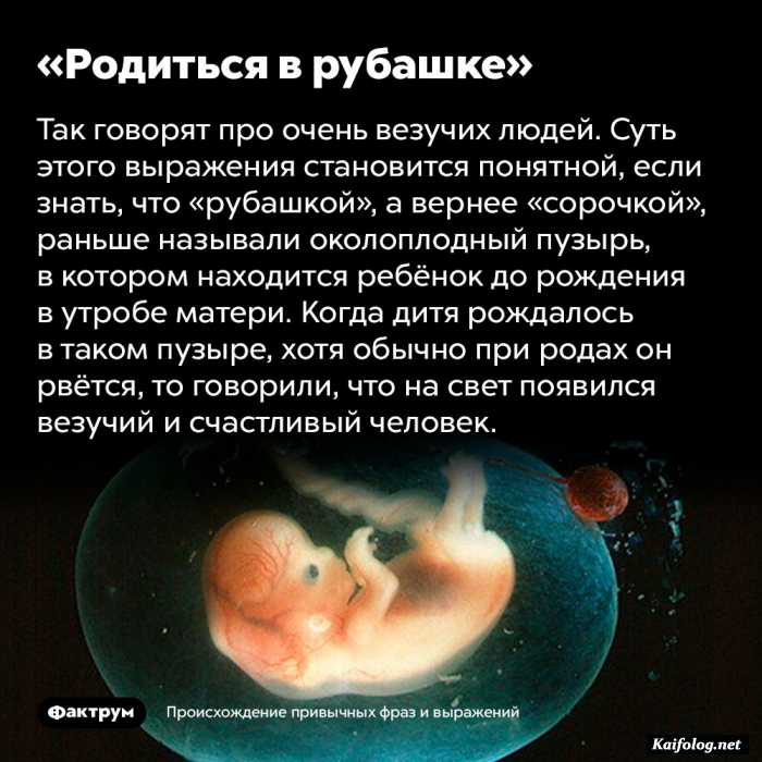 забавный факт