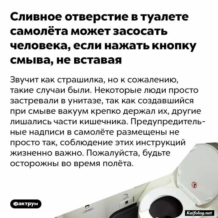 забавный факт