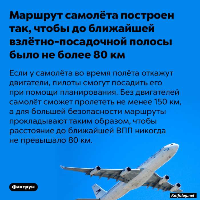 забавный факт