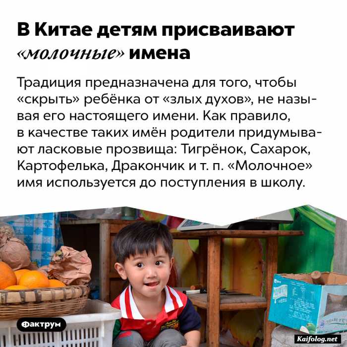 забавный факт