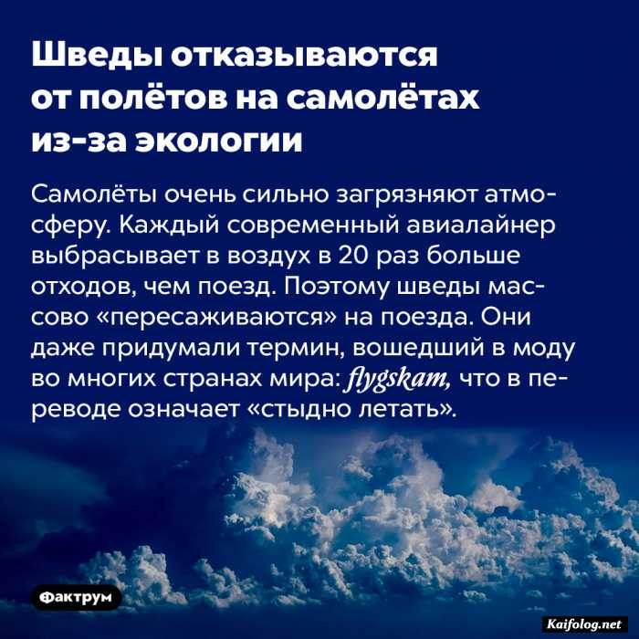 интересный факт