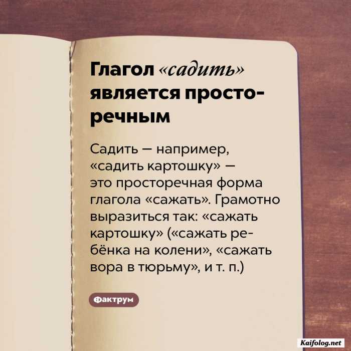 интересный факт