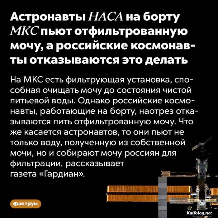 интересный факт