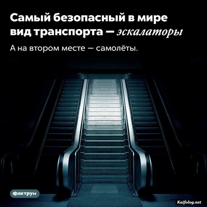 интересный факт