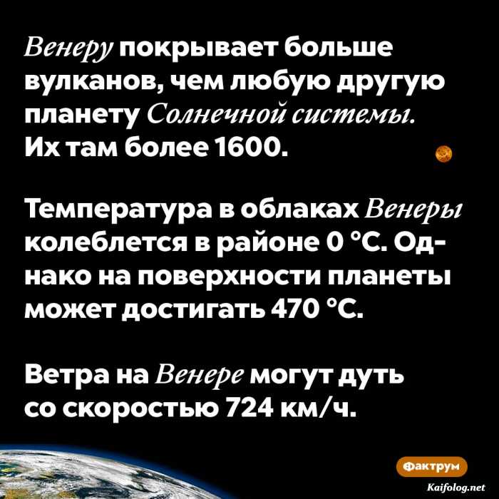 интересный факт