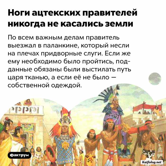 факт картинка