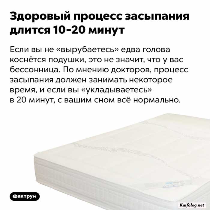 факт картинка