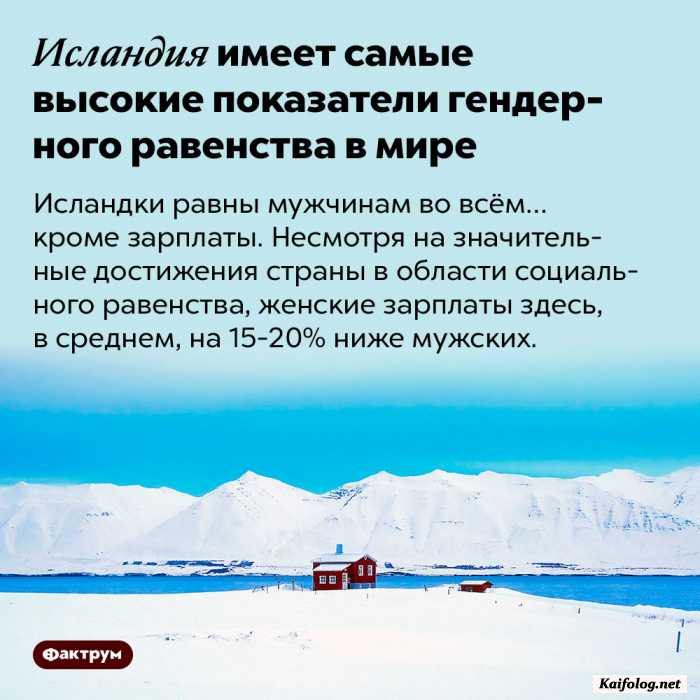 факт картинка