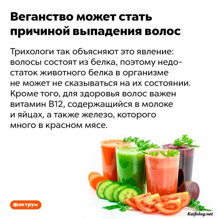 факт картинка