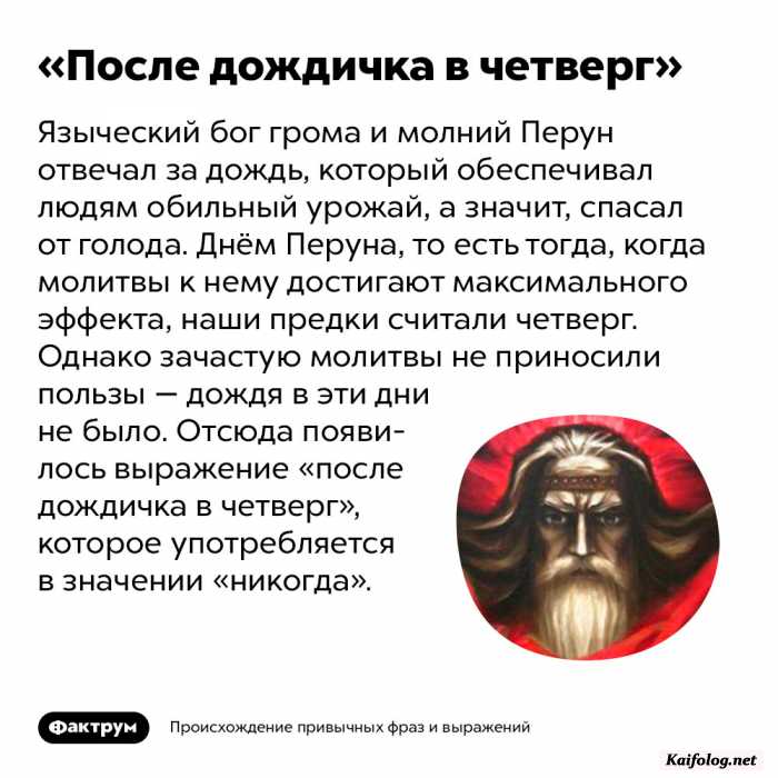 факт картинка