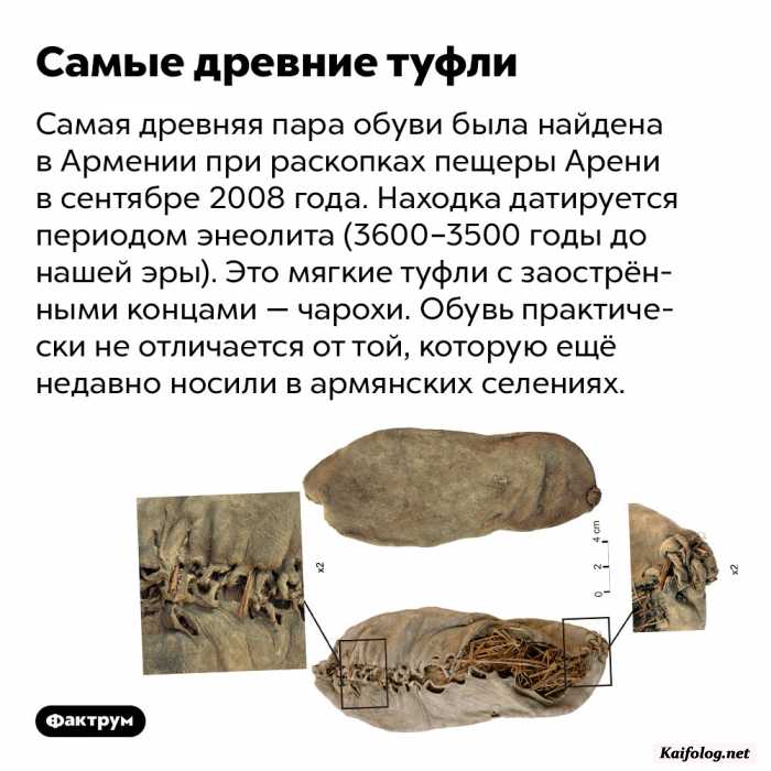 факт картинка