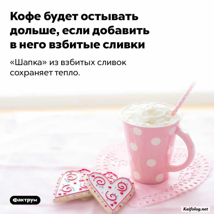 факт картинка