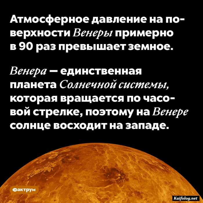 факт картинка с текстом