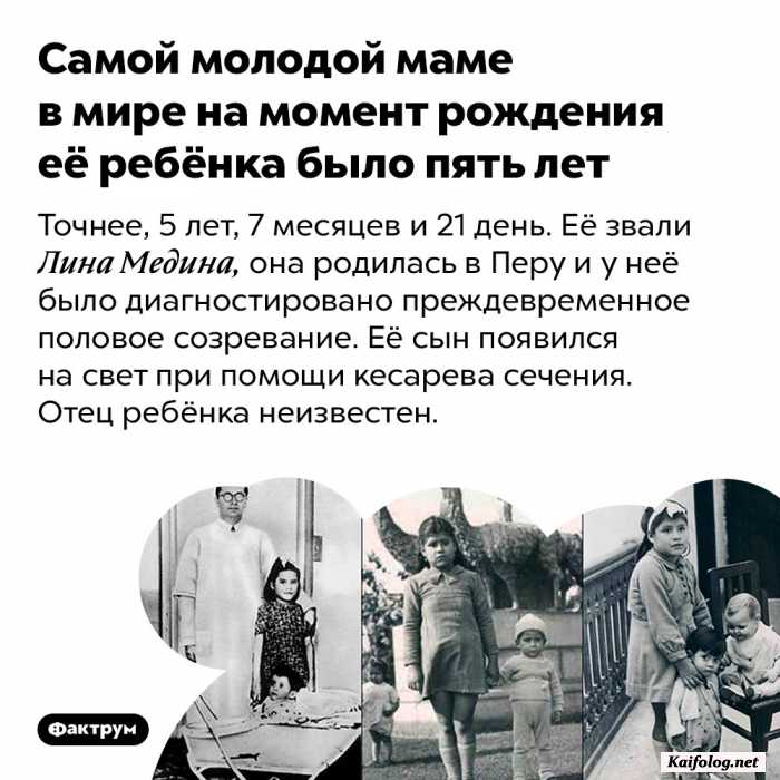 факт картинка с текстом