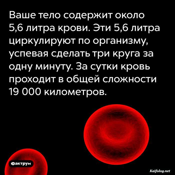 факт картинка с текстом