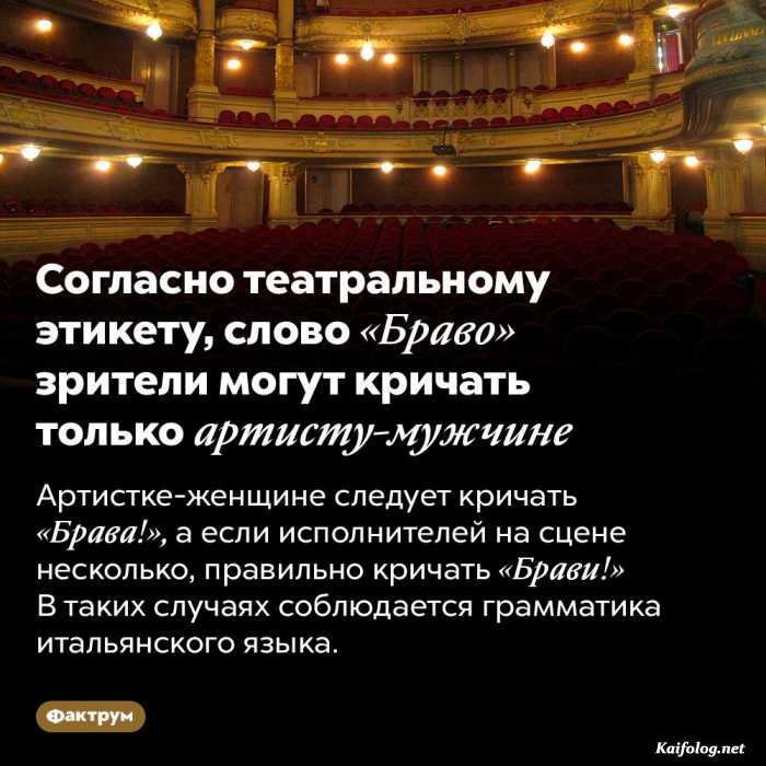 факт картинка с текстом