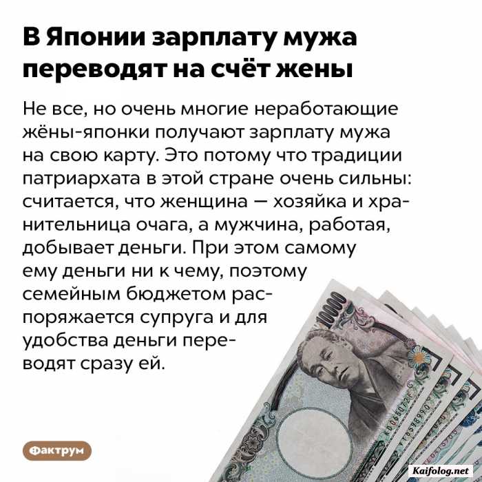 факт картинка с текстом